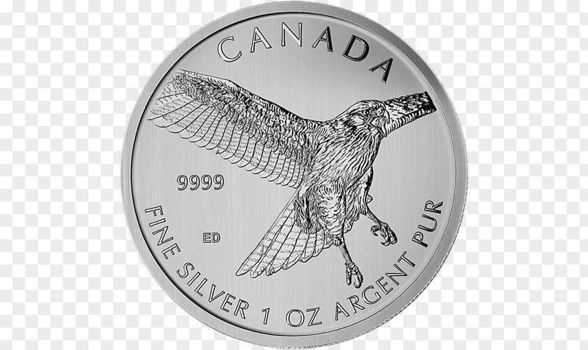 Canada Perth Mint Silver Coin Royal Canadian PNG