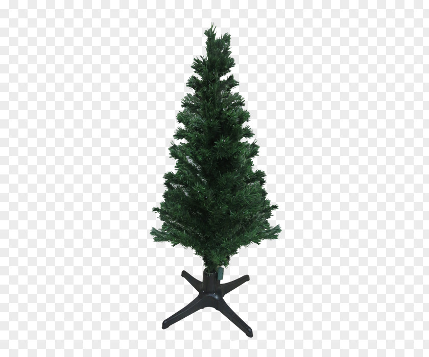 Christmas Tree Day Lights Party Spruce PNG