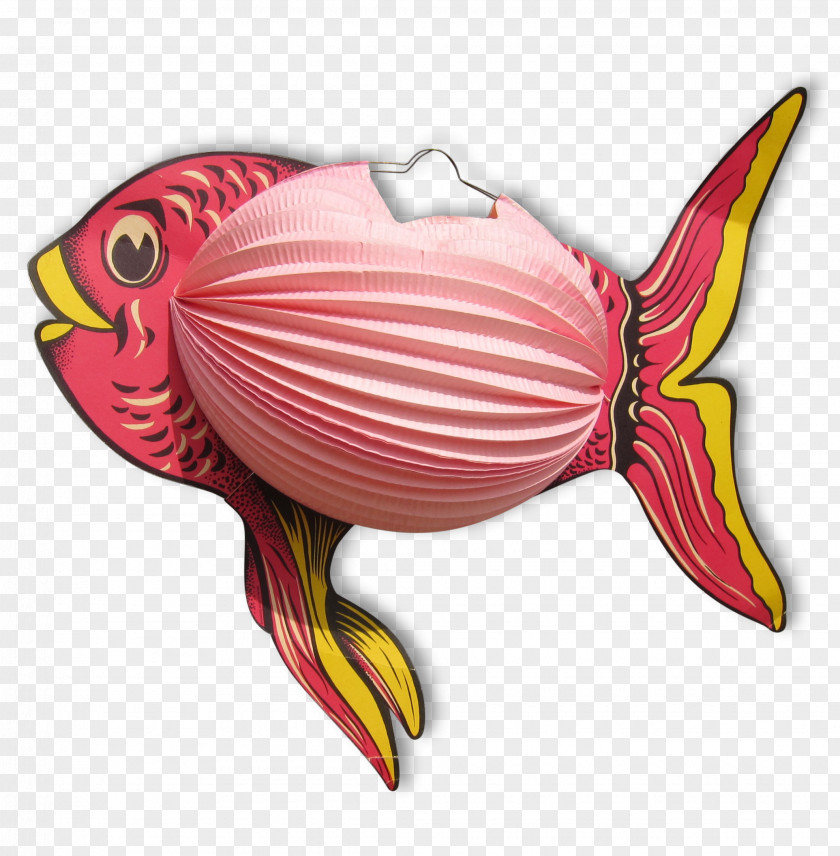 Clip Art Illustration Marine Biology Pink M PNG