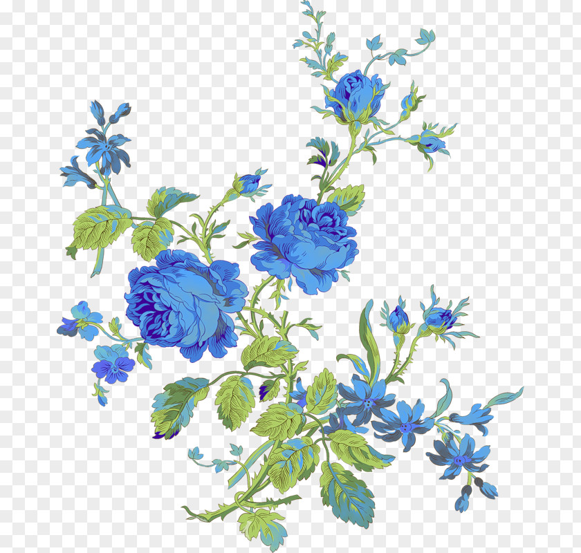 Flower Color Clip Art PNG