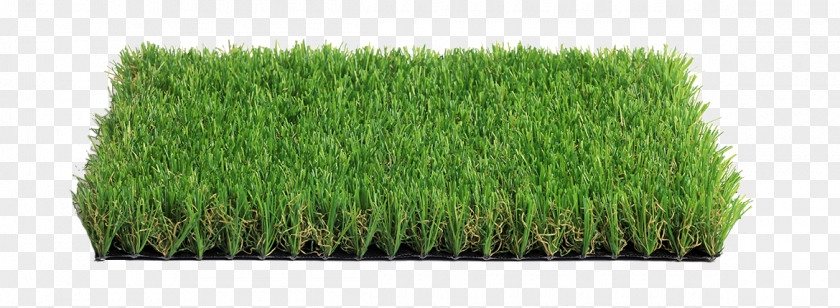 Landscape Green Italgreen SpA Lawn Artificial Turf Garden Carpet PNG