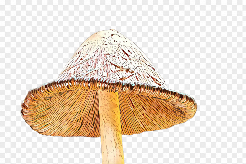 Mushroom Umbrella Hat Cone PNG
