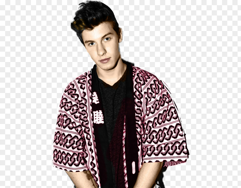 Shaw Mendes Shawn Rock In Rio Singer-songwriter Illuminate World Tour Armani PNG