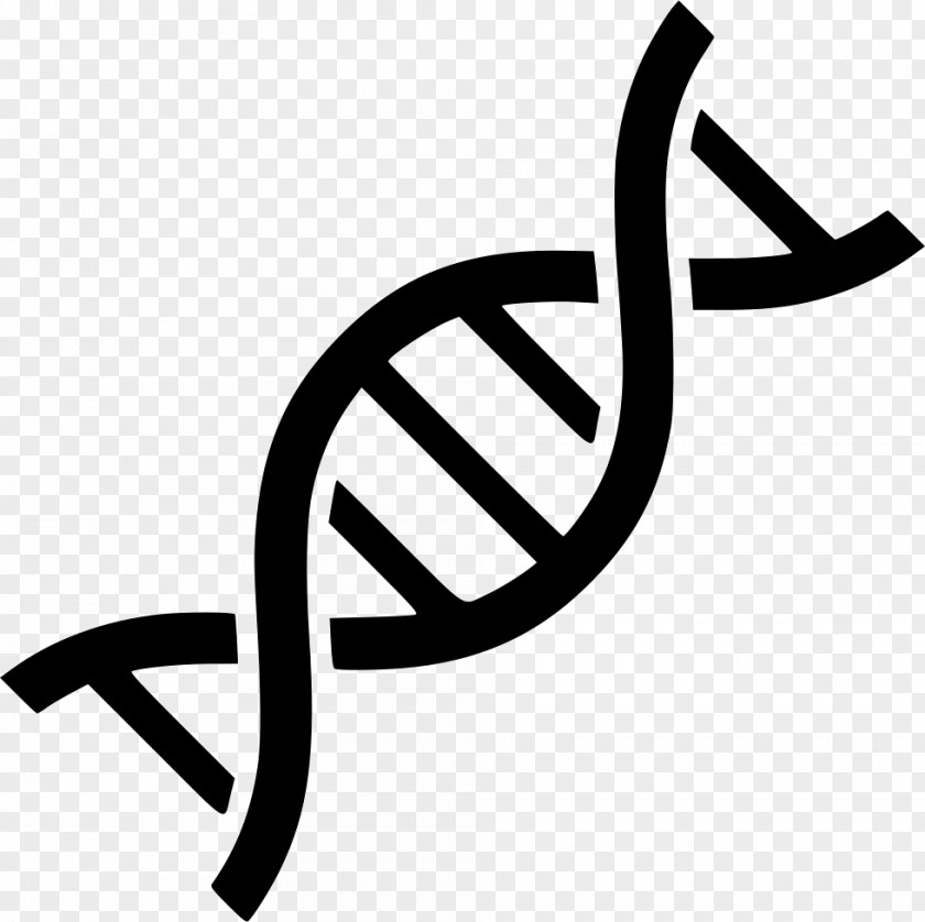 Svg DNA Genetics Nucleic Acid Double Helix PNG