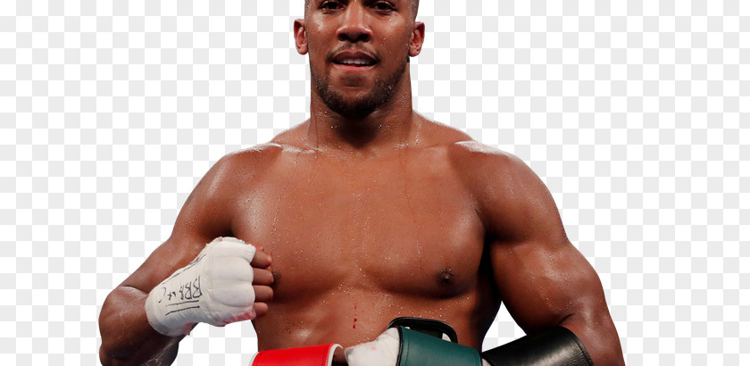 Boxing Anthony Joshua Professional Glove Heavyweight PNG