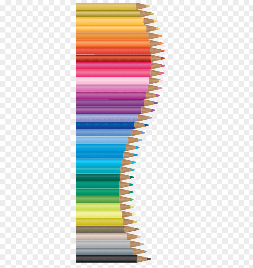 Color Pencil Vector Material Creative Arts Drawing Clip Art PNG