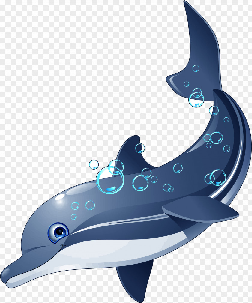 Dolphin Riddle Coloring Book Fish Clip Art PNG