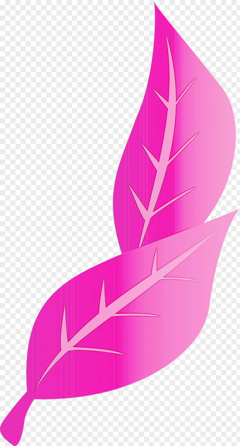 Floral Design PNG