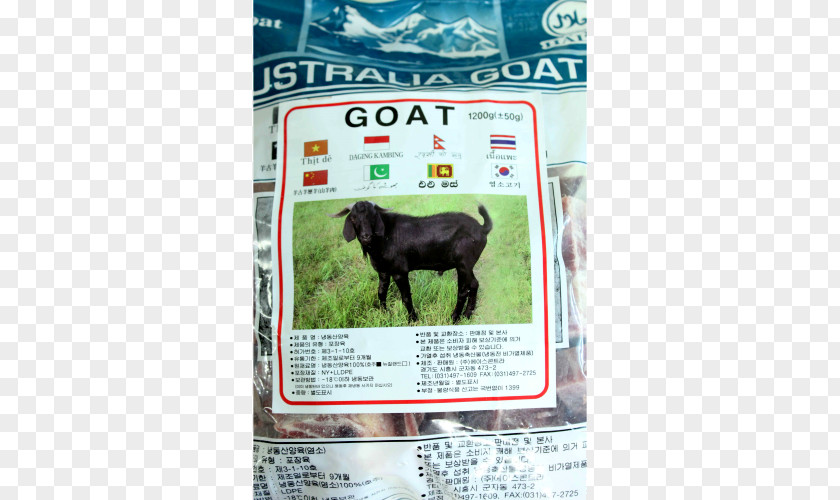 Goat Meat Halal 포린푸드마트 Foreign Food Mart Cattle PNG