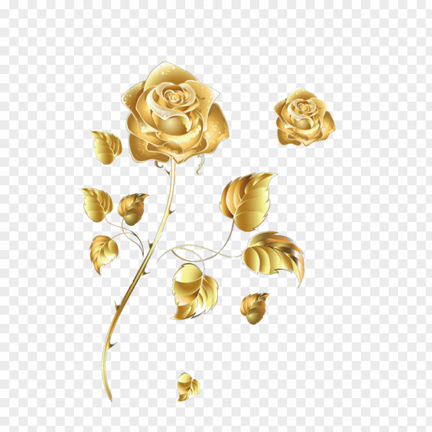 Golden Rose Beach Color PNG