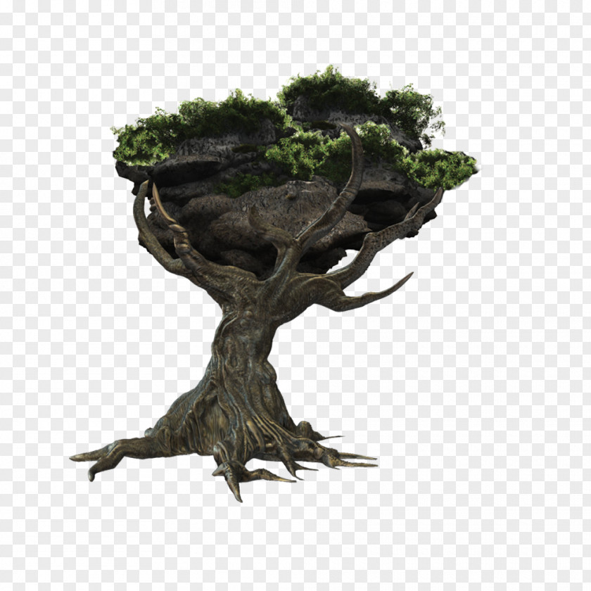 One Big Tree PNG