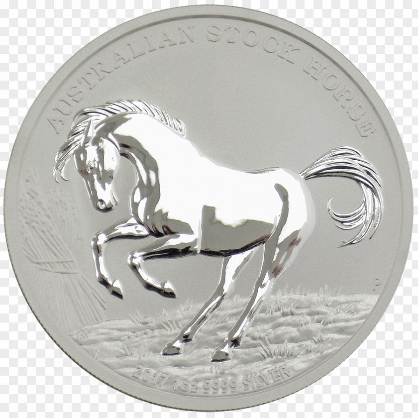 Silver Bar Coin Bullion Lunar Series PNG