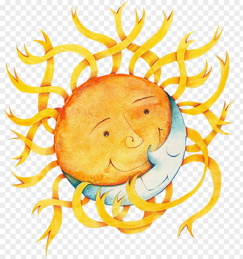 Sun Illustration Animal Fruit Clip Art PNG
