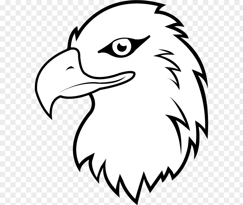 White Eagle Cliparts Bald White-tailed Clip Art PNG