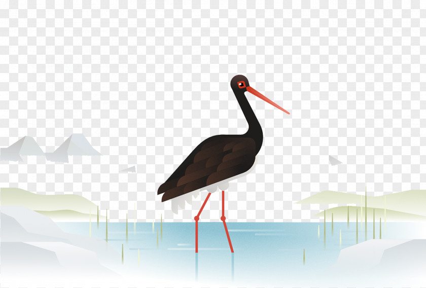 Beautifully Hand-painted Crane. Crane Heron Bird Stork PNG