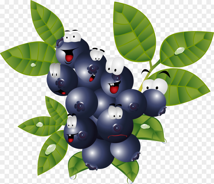 Berries Caricature Food Blueberry PNG