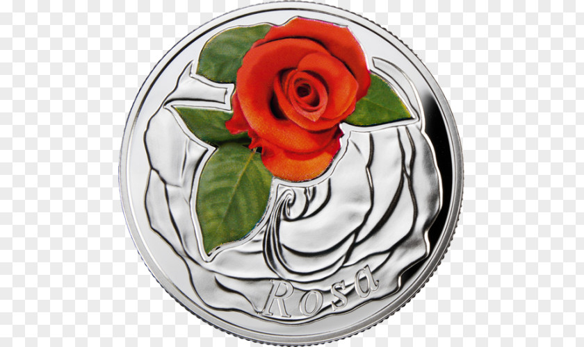 Coin Garden Roses Silver Flower PNG