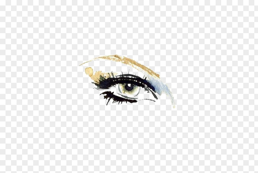 Drawing The Eyes Illustrator Art Fashion Illustration PNG