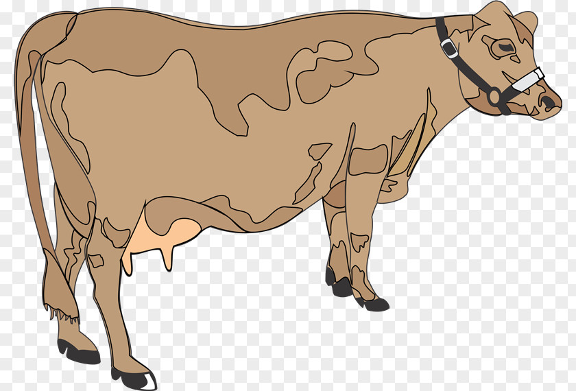 Vacas Dairy Cattle Ox Taurine Bull Clip Art PNG