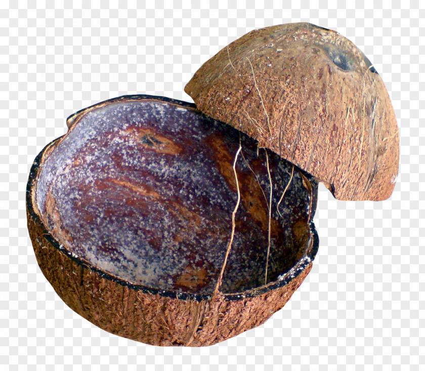 Coconut Shell Rye Bread PNG