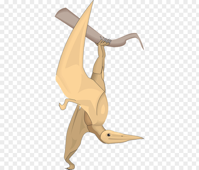 Creative Elements Of Classic Claw Velociraptor Dinosaur Bird PNG