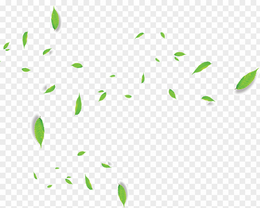 Flowing Green Leaves Leaf Wreath Download PNG