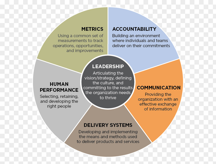 Mental Health Care Models Jail Three Levels Of Leadership Model Organizational Effectiveness Management PNG