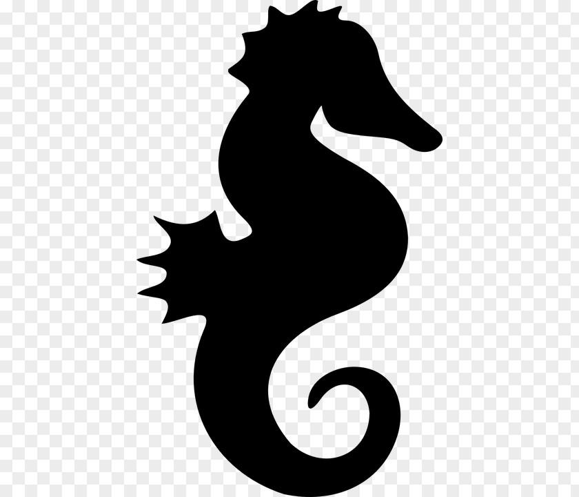 Seahorse PNG clipart PNG