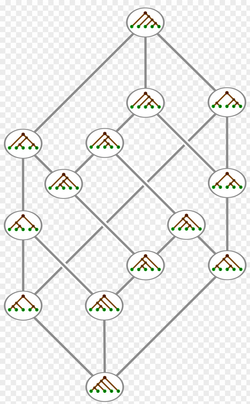 Tree Associahedron Catalan Number Tamari Lattice Binary Hasse Diagram PNG