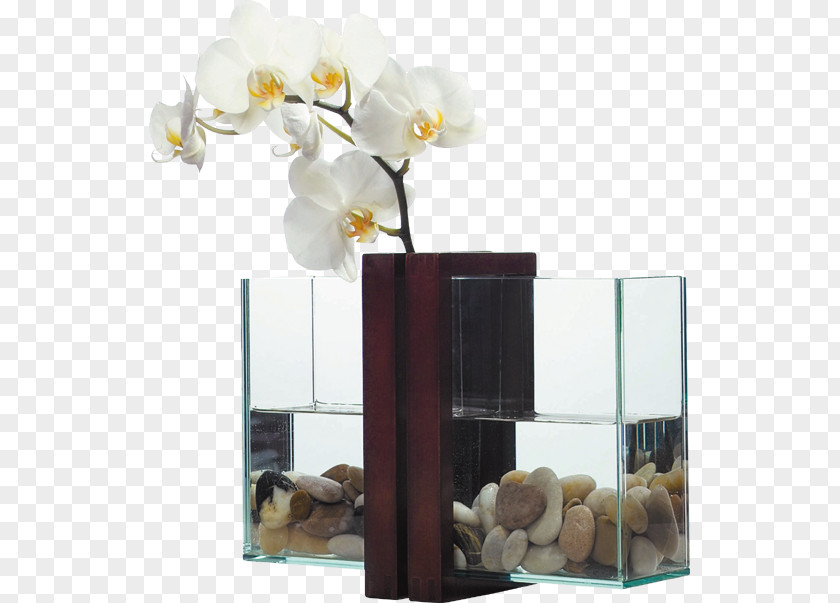 Vase With Flowers Florero Museum Aan De Stroom Pieza Xc3xbanica PNG