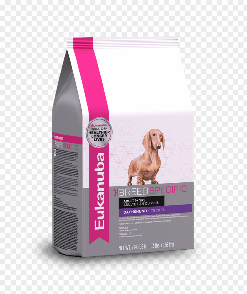 Dog Food Dachshund Chihuahua Puppy Yorkshire Terrier Dandie Dinmont PNG