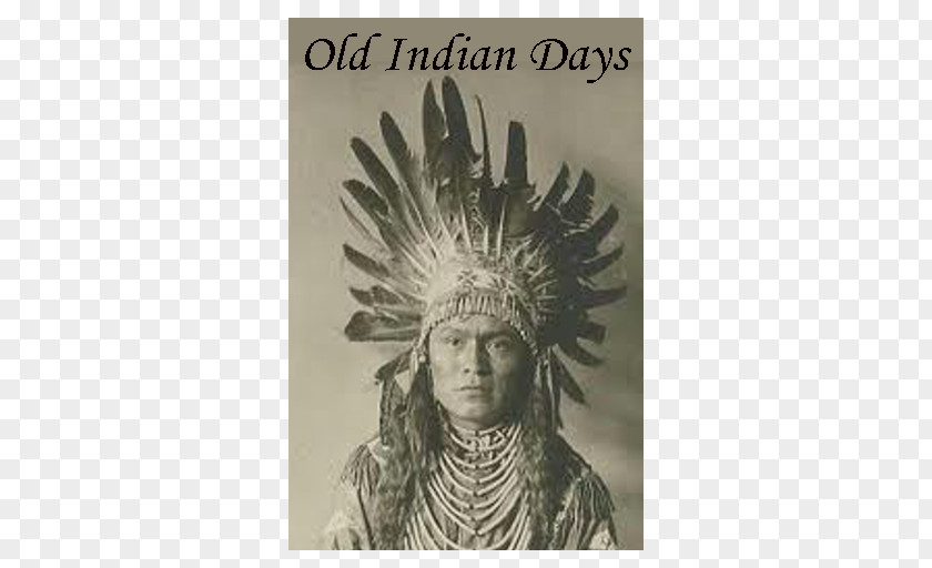 Doublehead Pine Ridge Indian Reservation Tribal Chief Cherokee Native Americans In The United States PNG chief in the States, American Heritage Day clipart PNG