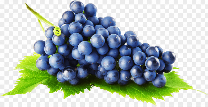 Grapes Common Grape Vine Concord Pie PNG
