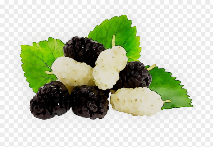 Recipe Superfood BlackBerry Limited PNG