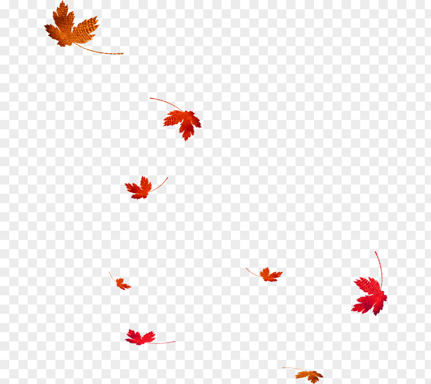 Red And Brown Simple Maple Leaf Floating Material Autumn Clip Art PNG