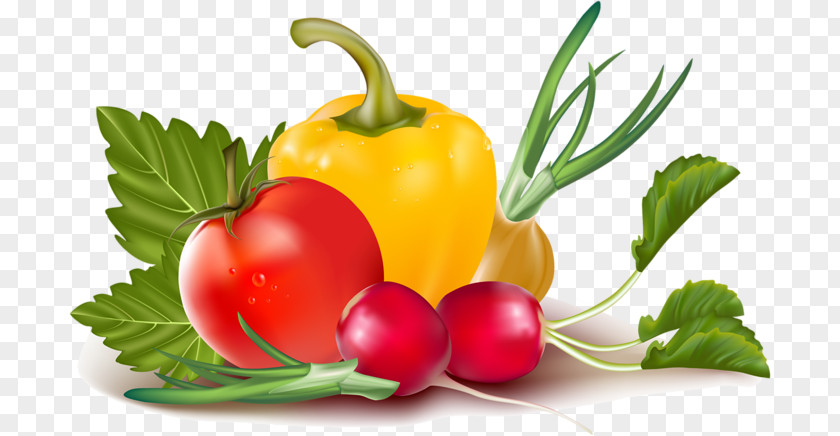 Vegetable Chili Pepper Bell Clip Art PNG