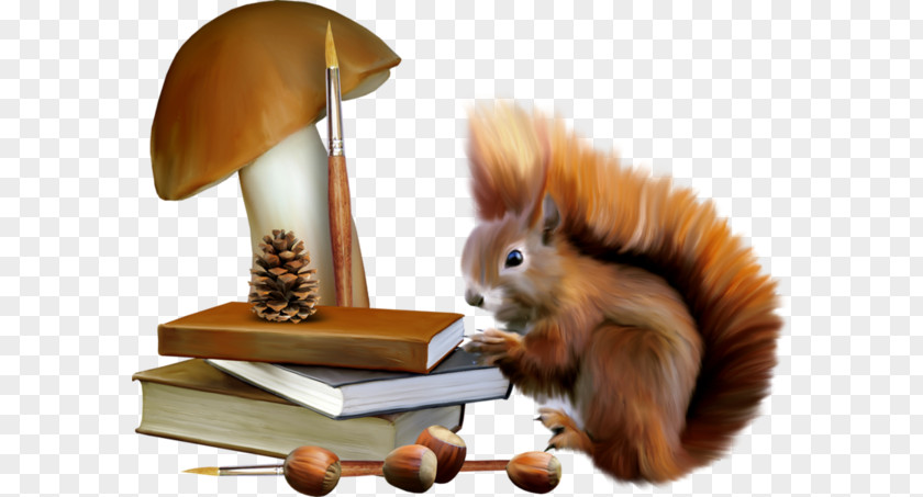 A Squirrel PNG