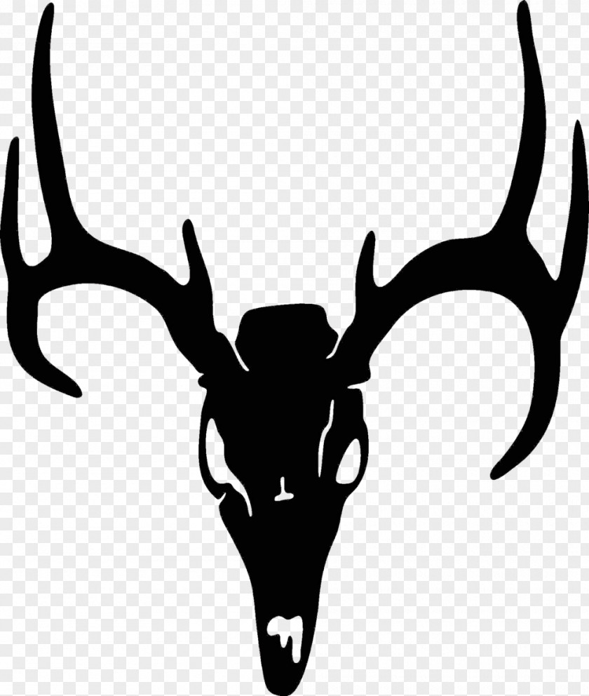Deer Horn White-tailed Elk Antler Clip Art PNG