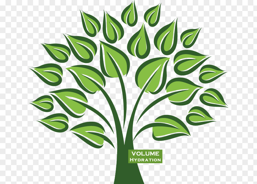 Side Tree Organization Marketing Dentistry Tax Genealogy PNG