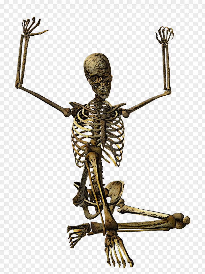 Symbol Metal Skeleton Religious Item PNG