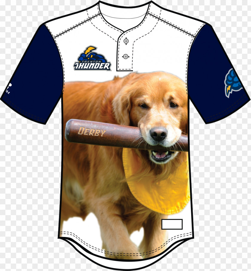 The Boy Dog Golden Retriever Trenton Thunder Puppy New York Yankees Breed PNG
