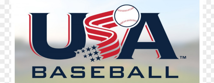United States Baseball Bats USA Composite Bat PNG