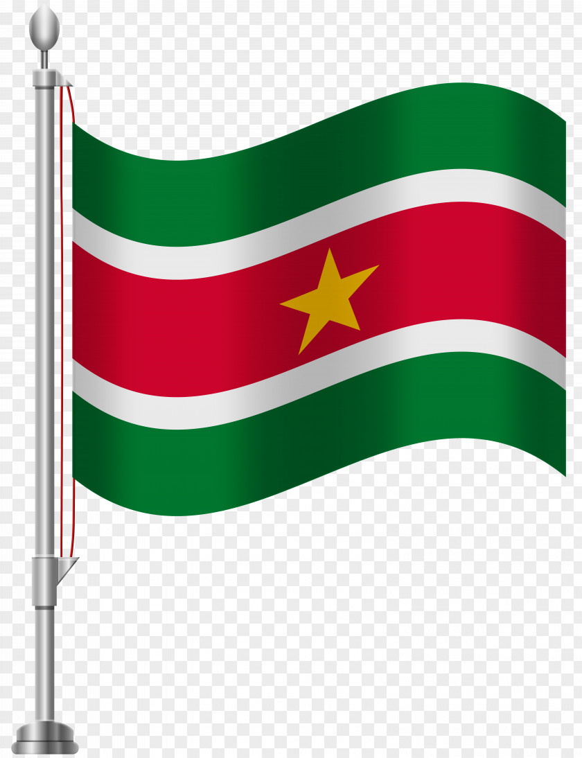 Usa Flag Of South Africa Paraguay Cameroon Clip Art PNG