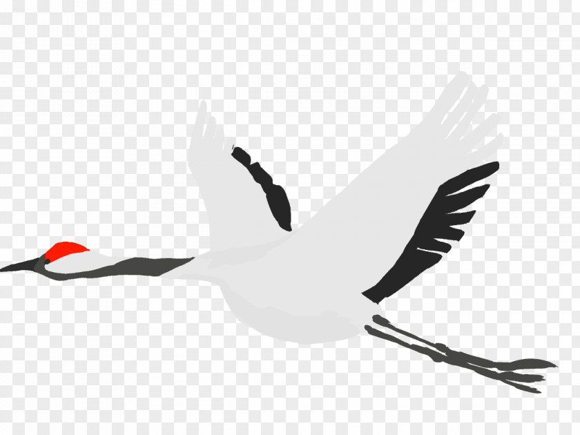 Crane White Stork Bird TSURU PNG