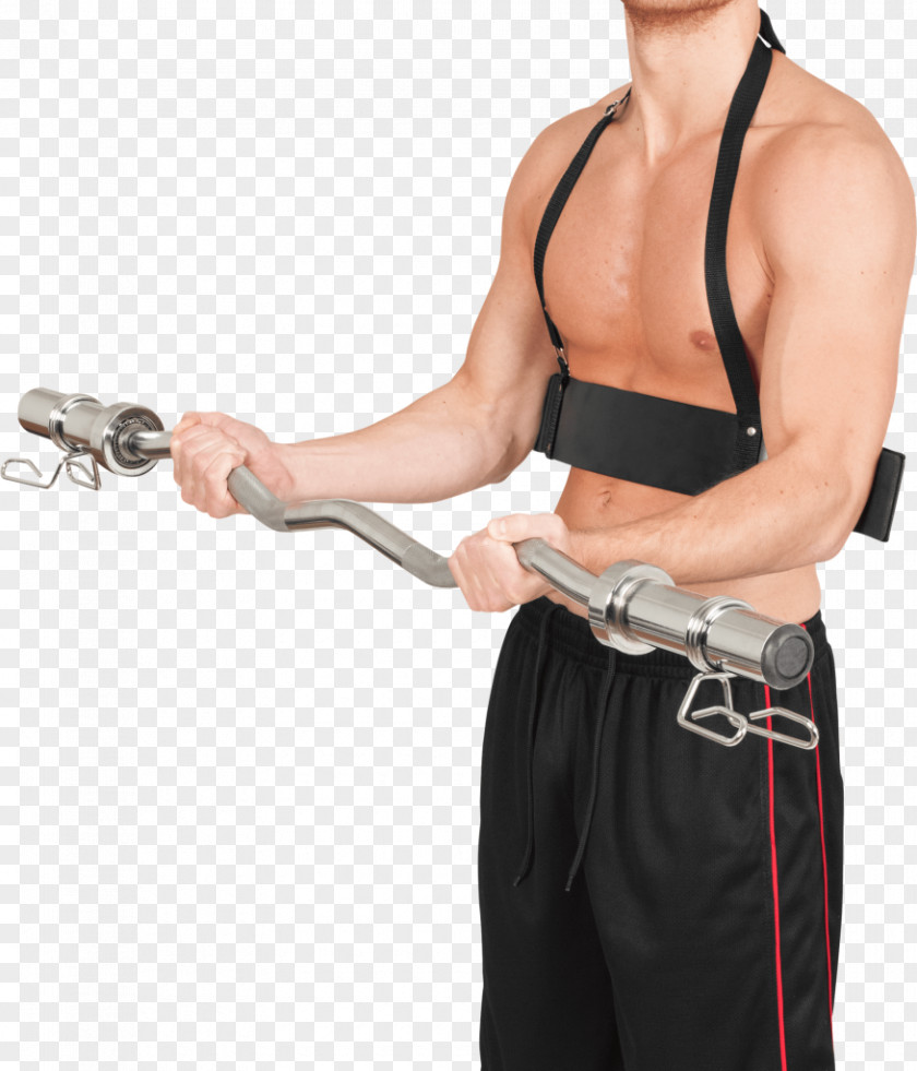 Kettlebells Biceps Triceps Brachii Muscle Elbow Shoulder Wrist PNG