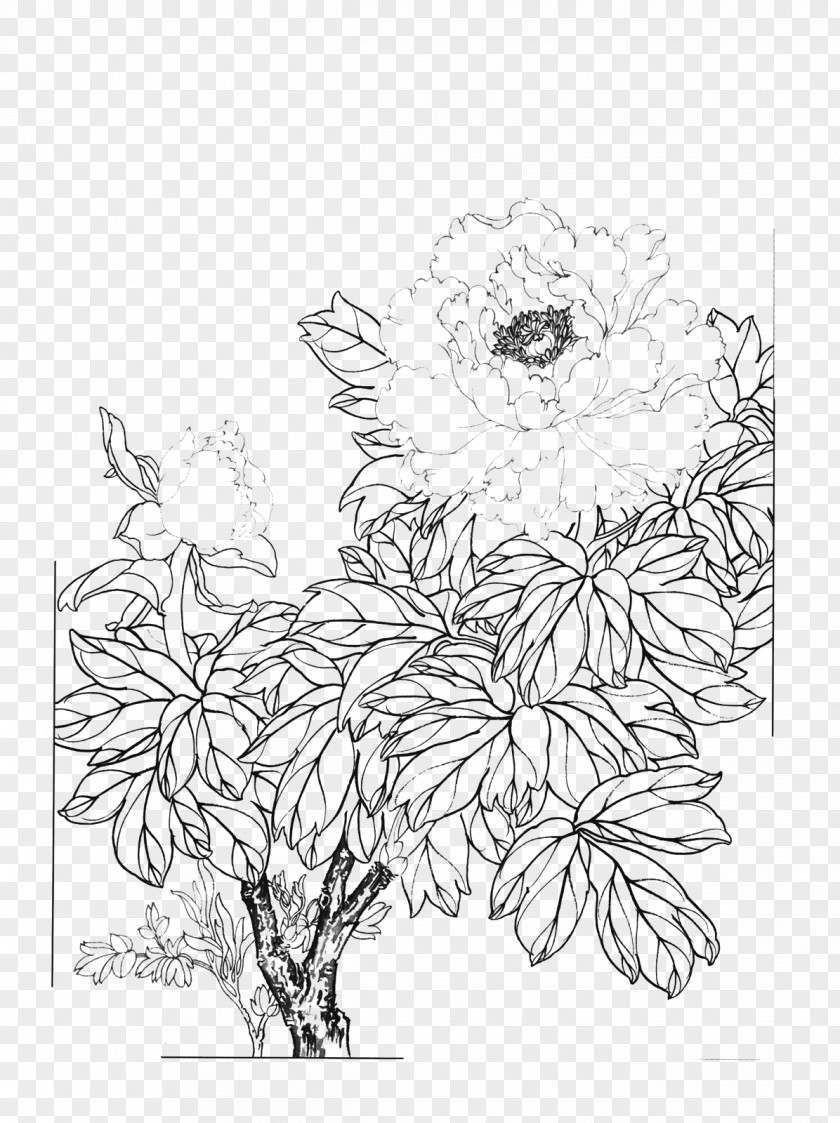 Peony Floral Design Moutan Gongbi PNG