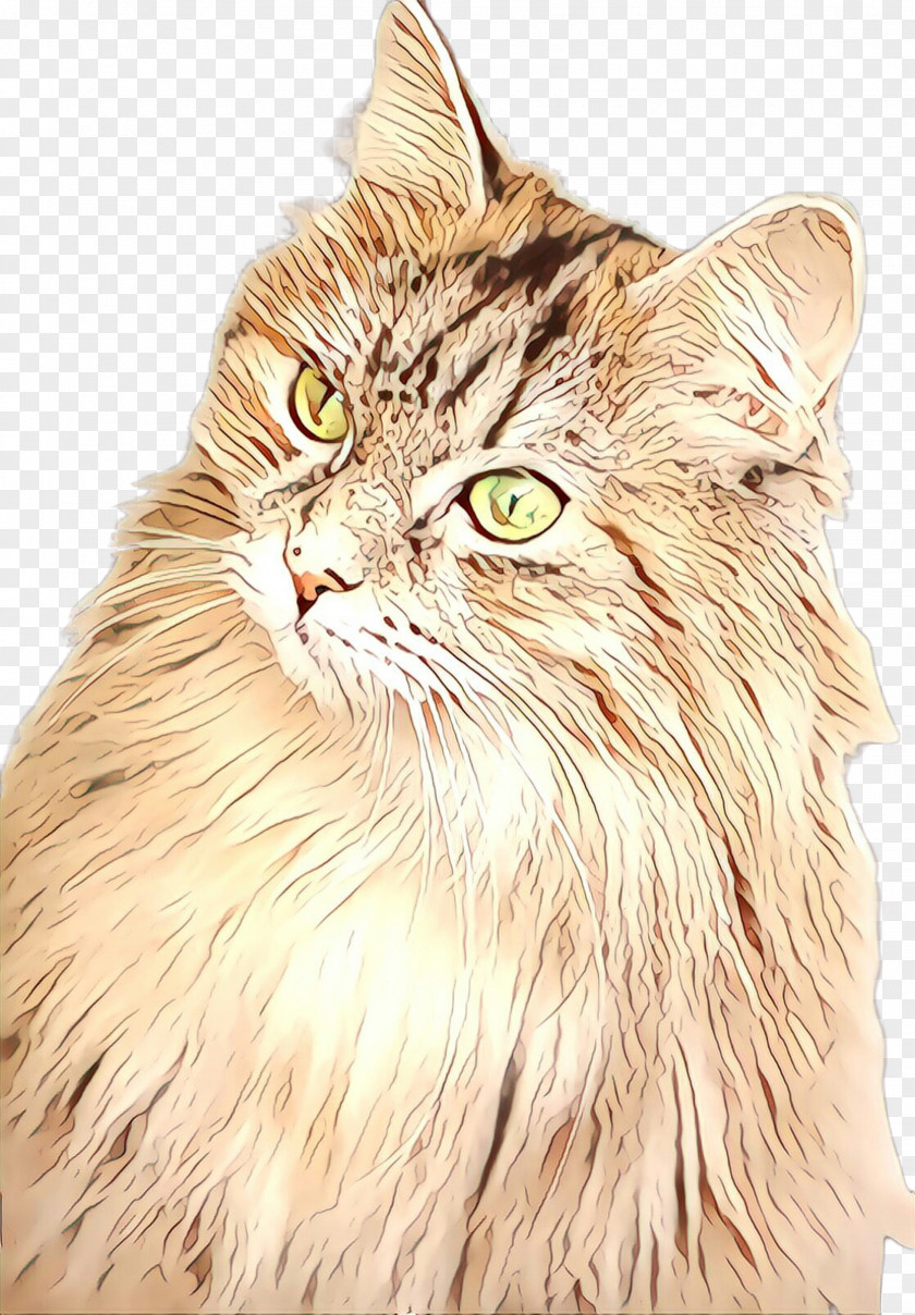 Siberian Maine Coon Cat Whiskers Small To Medium-sized Cats Domestic Long-haired PNG