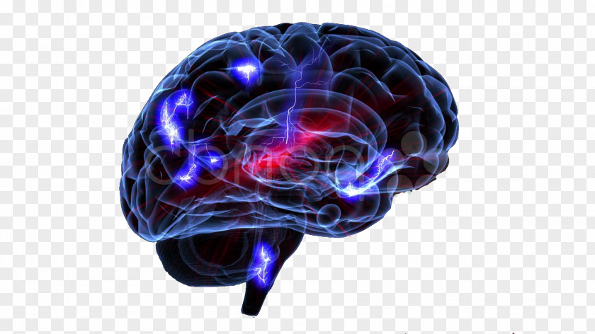 Brain Storms: The Race To Unlock Mysteries Of Parkinson's Disease Surviving Catastrophic Illness Neurology Medicine PNG
