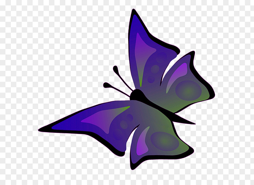 Drawing Butterfly YouTube PNG