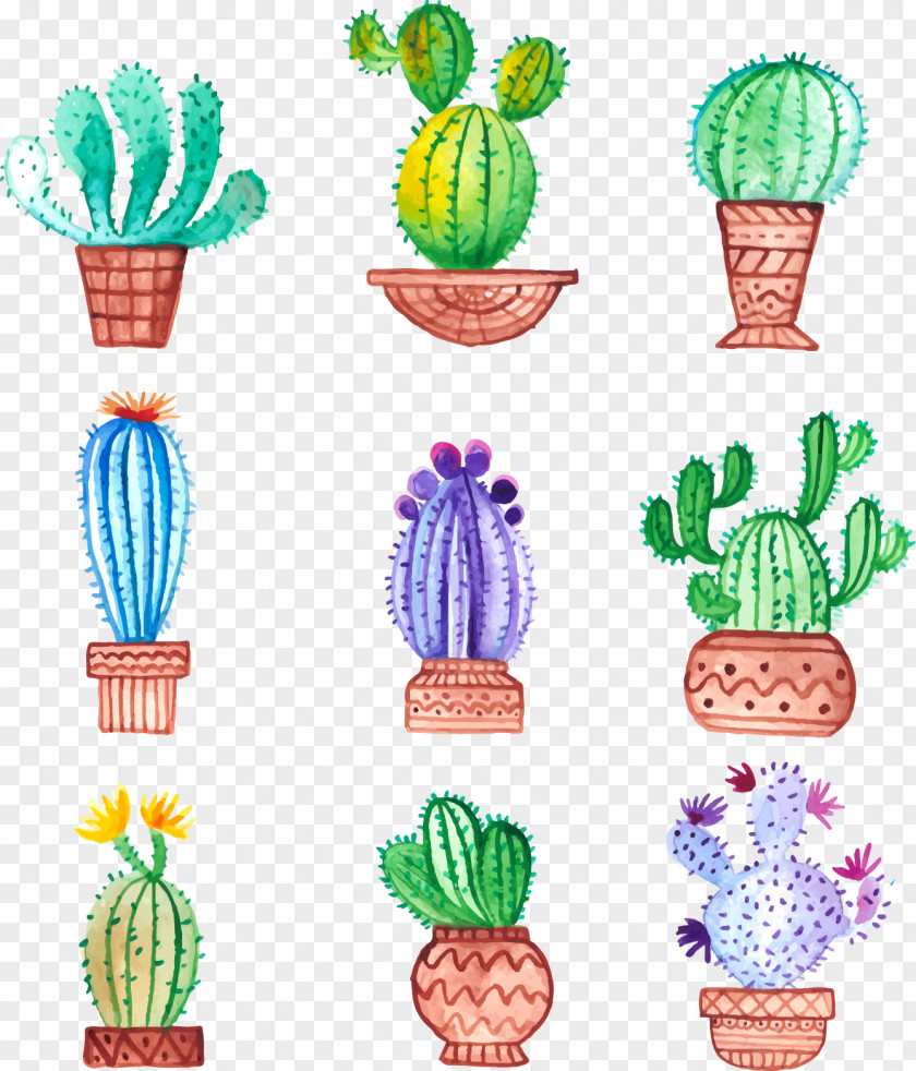 Hand-painted Potted Cactus Cactaceae Watercolor Painting Drawing PNG